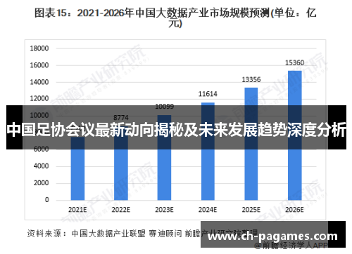 中国足协会议最新动向揭秘及未来发展趋势深度分析 中国足协会议最新动向揭秘及未来发展趋势深度分析