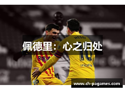 佩德里:心之归处 佩德里:心之归处