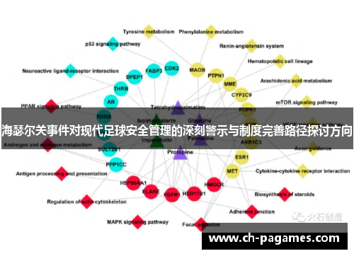 海瑟尔关事件对现代足球安全管理的深刻警示与制度完善路径探讨方向 海瑟尔关事件对现代足球安全管理的深刻警示与制度完善路径探讨方向